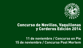 CONCURSO-DE-NOVILLOS-2014-590x330px