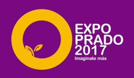 expo-17