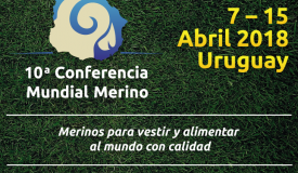 Banner_ _merino730x600px (1)